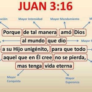 Meet your Posher, Lili